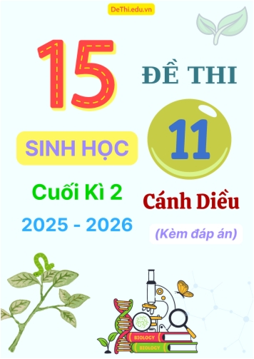 Tuyển tập 15 Đề thi cuối kì 2 năm học 2025-2026 môn Sinh học 11 Cánh Diều (Kèm đáp án)